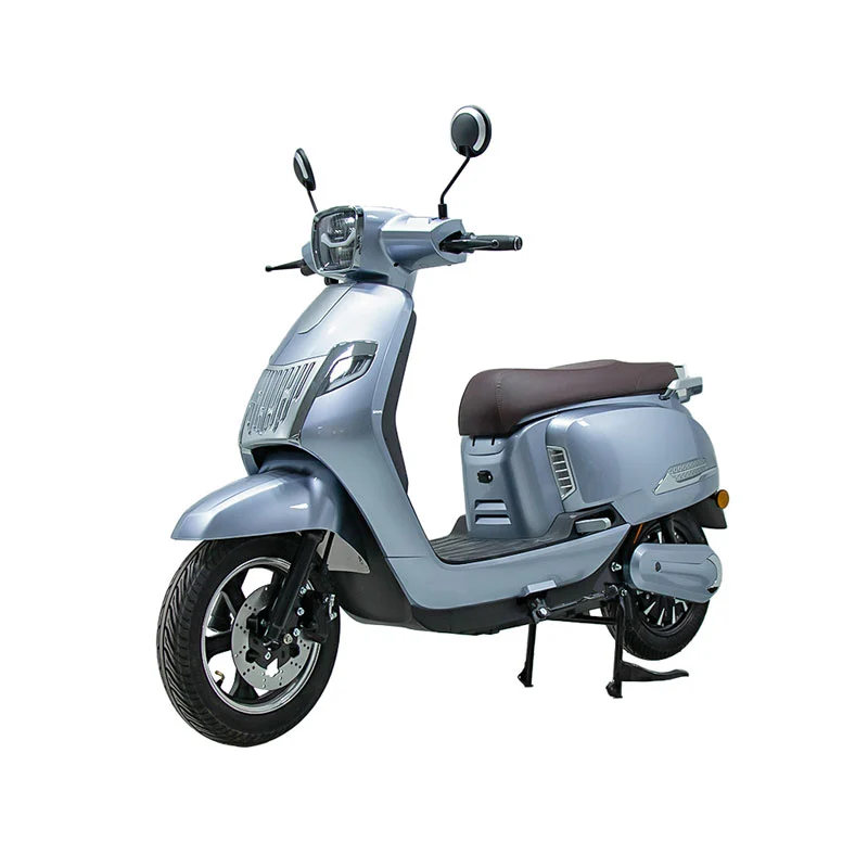 大人用電気バイク10インチ800Wオートバイ