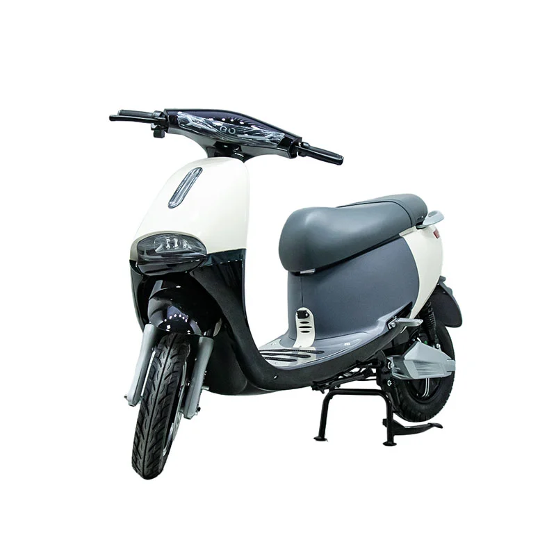 10インチ1000Wバイクを備えた電動バイク